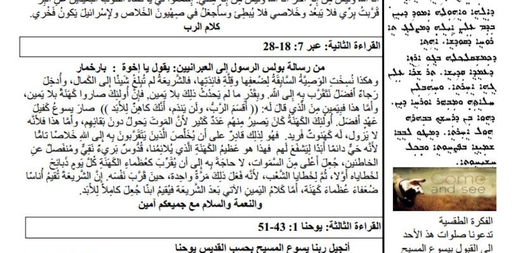 Feb 03, 2019/ نشرة الأحد :الاحد الرابع بعد الدنح